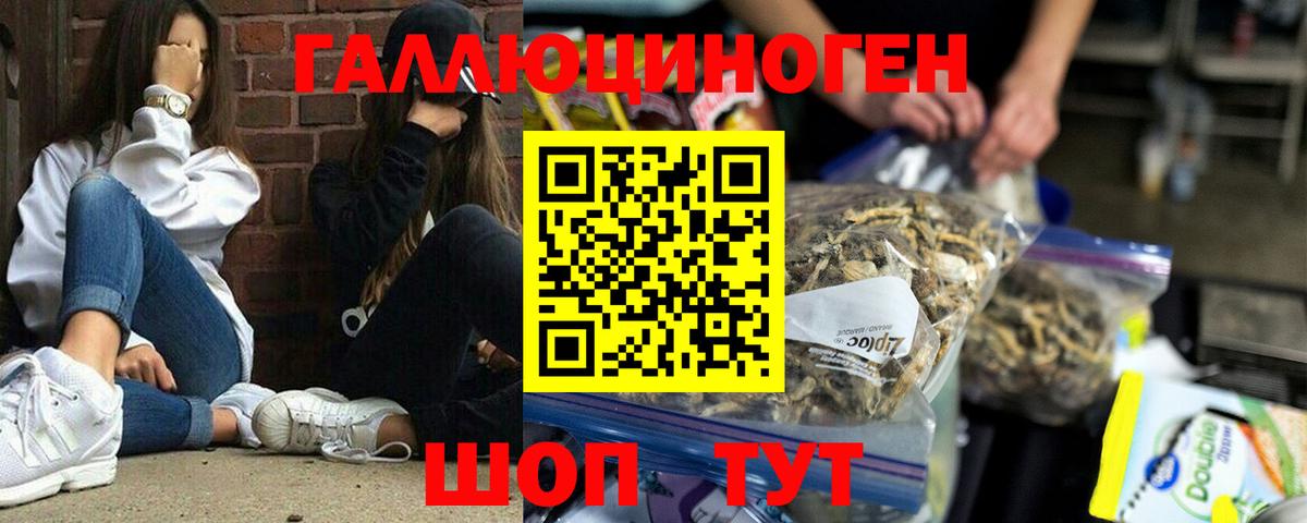 Волжск  Псилоцибиновые грибы Psilocybe  Псилоцибиновые грибы прущие грибы  Вход с VPN 